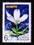 Postage stamp Soviet union, CCCP 1977. Great Chickweed Cerastium maximum flower