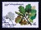 Postage stamp Soviet union, CCCP 1980. Pedunculate Oak Quercus robur tree