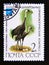 Postage stamp Soviet union, CCCP 1982. Hooded Crane bird Grus monacha
