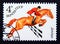 Postage stamp Soviet union, CCCP 1982. Russian Don Equus ferus caballus horse