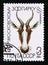 Postage stamp Soviet Union, CCCP, 1984. Bontebok Damaliscus pygargus