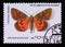 Postage stamp Soviet Union, CCCP,, 1986. Dark Crimson Underwing Catocala sponsa butterfly