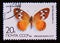 Postage stamp Soviet Union, CCCP,, 1986. Orange Hermit Satyrus bischoffi butterfly