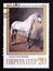 Postage stamp Soviet Union, CCCP, 1988. Letuchy, Grey Stallion of Orlov Trotter Breed