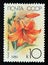 Postage stamp Soviet Union, CCCP, 1989, Lilium African Queen