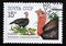 Postage stamp Soviet Union, CCCP, 1990. Bronze North Caucasian Turkey Meleagris gallopavo