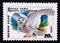 Postage stamp Soviet Union, CCCP, 1990, Snowy Owl Bubo scandiacus