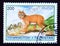 Postage stamp Tajikistan, 1996, Jungle Cat, Felis chaus oxiana