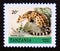 Postage stamp Tanzania, 1980. Cape Genet Genetta tigrina