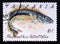 Postage stamp Tanzania, 1991. Blue Blanquillo Malacanthus latovittatus fish