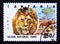 Postage stamp Tanzania, 1993. Selous National Park, Lion Panthera leo
