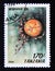 Postage stamp Tanzania, 1994. Orb weaving Araneus spider