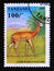 Postage stamp Tanzania, 1995. Gerenuk Litocranius walleri antelope