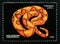 Postage stamp Tanzania, 1996. Southern Copperhead Agkistrodon contortrix snake
