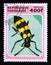 Postage stamp Togo, 1996. Blister Beetle Mylabris variabilis insect