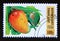 Postage stamp Togo, 1996. Mango fruit