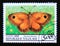 Postage stamp Togo, 1999. Gatekeeper Pyronia lithonus butterfly
