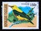 Postage stamp Togo, 1999. Golden Oriole Oriolus oriolus bird