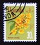 Postage stamp Uganda, 1969. Ochna Ochna ovata flower