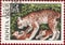 Postage stamp of the USSR with the image and inscription in Russian `Bialowieza Forest. Lynx` from the series `Reserves`.