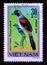 Postage stamp Vietnam, 1978. Rufous backed Shrike Lanius schach bird