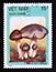 Postage stamp Vietnam, 1987. Tricholoma terreum fall mushroom