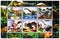 Postage stamps printed in Cinderellas shows Mini sheet Dinosaurs, Togo serie, circa 2016