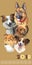 Postcard with dogs of different breeds-2
