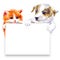 Postcard of a ginger kitten and Jack Russell Terrier and sheet of paper.