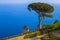 Postcard overlooking the Gulf of Salerno in the Tyrrhenian Sea from the Villa Rufolo Gardens in Ravello, Campania, Italy
