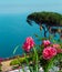 Postcard with the rose on the background of Salerno Bay in the Tyrrhenian Sea in Villa Rufolo`s garden in Ravello, Italy