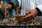 Postcards from Morocco: fresh escargots at Jemaa el-Fna  Marakkech