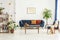 Poster above blue settee in white apartment interior with armchair, wooden table and plants. Real photo