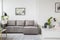 Poster above grey corner sofa in bright apartment interior with