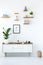 Poster above wooden cupboard with plant in minimal white apartment interior. Real photo