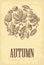 Poster AUTUNB with set leaf and acorn. Vector vintage engraved illustration