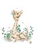 Poster with a baby giraffe. Watercolor cartoon giraffe tropical animal illustration. Jungle exotic summer design