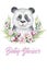 A poster with a baby panda. Watercolor cartoon panda tropical animal illustration. Jungle exotic summer print.