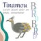 Poster, banner with crested tinamou bird and text. Poster layout design