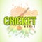 Poster or banner design for Cricket Mania.