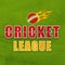 Poster, Banner or Flyer for Cricket League concept.