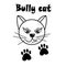 Poster with a cat. From the series different characters of pets. The text is a bully cat. Sly impudent muzzle with a smile, two bl