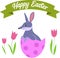 Poster with cute little easter bilby in the egg isolated on white background