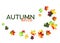 Poster designs with watercolor maple leaves. Autumn design templates. Phrase - hello autumn. Hand drawn style