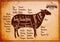 Poster with detailed diagram cutting lamb