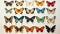 Poster with different types of butterflies drawn with watercolors on a white background. Generative AI