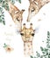Poster with a family giraffe. Watercolor cartoon giraffe tropical animal illustration. Jungle exotic summer design
