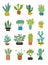 A poster with flowers. Vector cacti in pots