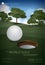 Poster Golf Champion Template Design