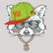 The poster with the image raccoon portrait in hip-hop hat. Vector illustration.